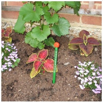 TFA Bahçe Kombi Toprak Işık PH Nem ve Sıcaklık Ölçer Seti - 6