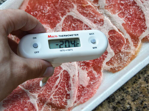 TFA Donmuş Ürün Vidalı Saplamalı Burgu Termometre - 6