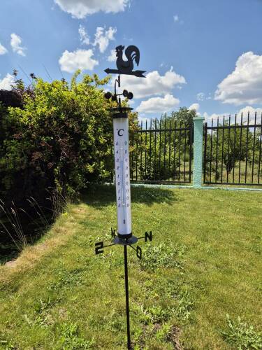 TFA Horoz Rüzgar Güllü Bahçe Termometresi - 2