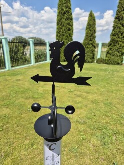 TFA Horoz Rüzgar Güllü Bahçe Termometresi - 6