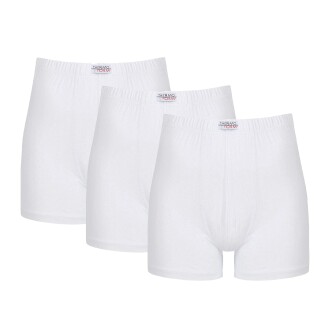 Thermoform Men's 95% Bamboo Boxer Brief 3-Pack Soft and Breathable Underwear White