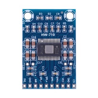 XH-M562 TPA3116D2 Mini Dijital Stereo Audio Amfi Kartı Class D Dual 50W - Thumbnail