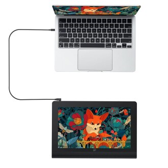 XP-Pen Artist Ultra 16 4K OLED Android Uyumlu 15,6" Dokunmatik Grafik Ekran Çizim Tableti + Çift 16K Kalem + K05 Kumanda - 2